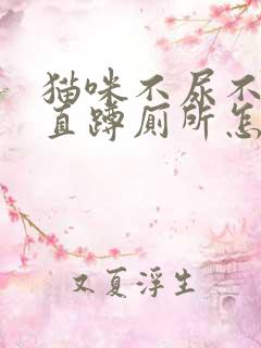 猫咪不尿不拉一直蹲厕所怎么办