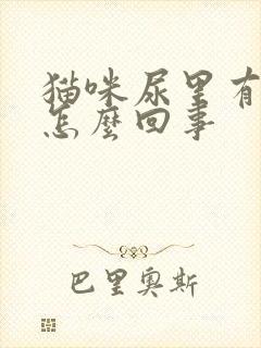 猫咪尿里有血是怎么回事