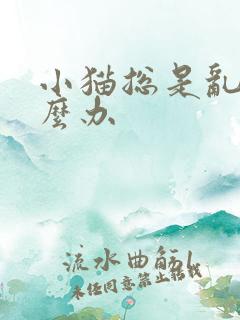 小猫总是乱尿怎么办