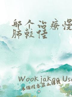 哪个治疗慢性阻肺较佳