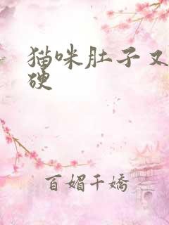 猫咪肚子又圆又硬