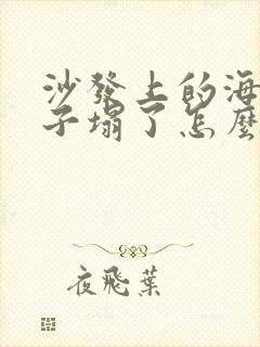 沙发上的海绵垫子塌了怎么办