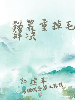 猫严重掉毛怎么解决