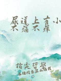 尿道上有小水泡不痛不痒