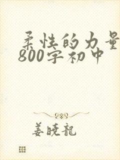 柔性的力量作文800字初中