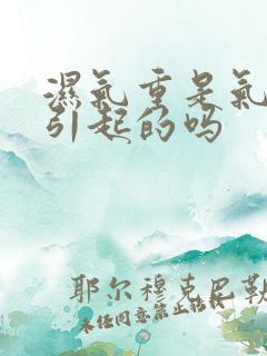 湿气重是气血虚引起的吗