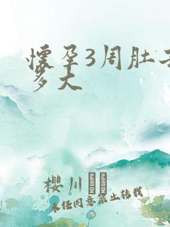 怀孕3周肚子有多大