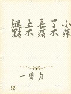 腿上长了小红点点不痛不痒