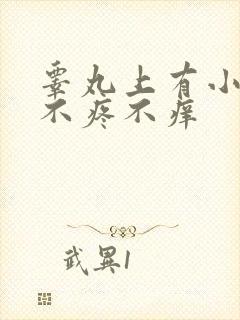 睾丸上有小疙瘩不疼不痒