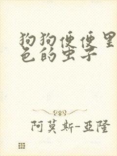 狗狗便便里有白色的虫子