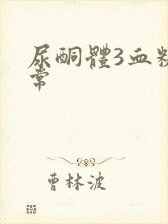 尿酮体3血糖正常