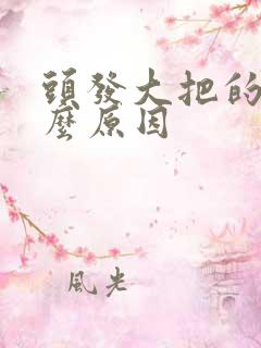 头发大把的掉什么原因