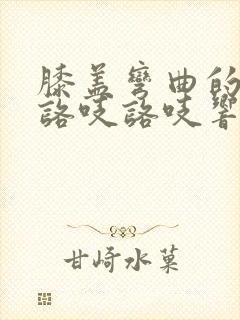 膝盖弯曲的时候咯吱咯吱响是怎么回事