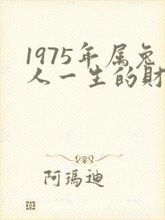 1975年属兔人一生的财运如何