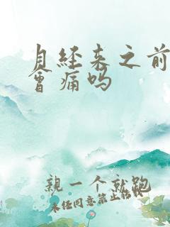 月经来之前乳房会痛吗