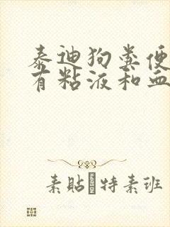 泰迪狗粪便里带有粘液和血