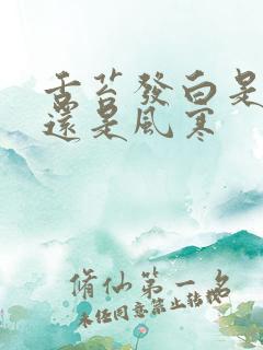 舌苔发白是风热还是风寒