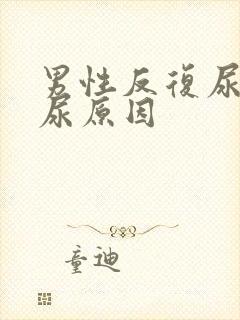 男性反复尿不出尿原因