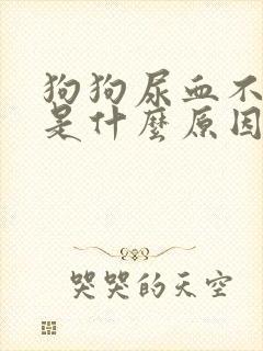 狗狗尿血不吃饭是什么原因