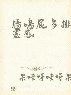 肠鸣屁多排便不尽感