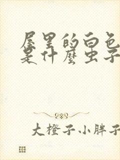 屋里的白色虫子是什么虫子