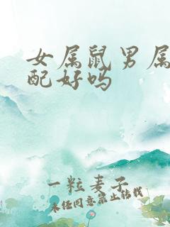 女属鼠男属猴婚配好吗