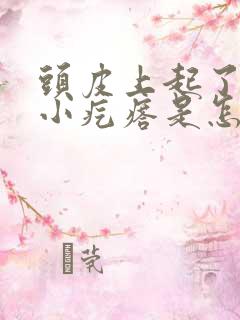 头皮上起了好多小疙瘩是怎么回事