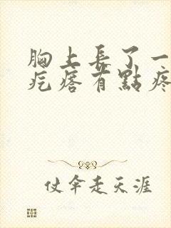 胸上长了一个小疙瘩有点疼