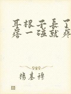 耳根子长了个疙瘩一碰就疼