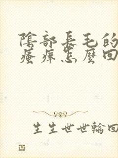 阴部长毛的地方瘙痒怎么回事