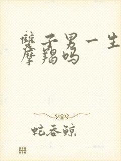 双子男一生只爱摩羯吗