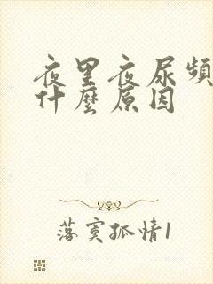 夜里夜尿频多是什么原因