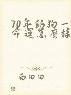 70年的狗一生命运怎么样