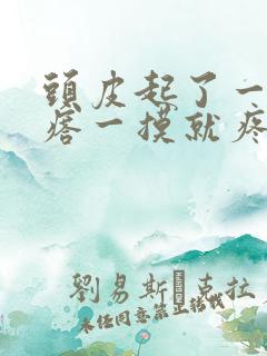 头皮起了一个疙瘩一摸就疼