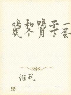 鸡和鸭子一般养几个月下蛋