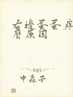 右边蛋蛋疼是什么原因