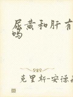 尿黄和肝有关系吗