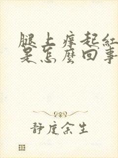 腿上痒起红点点是怎么回事