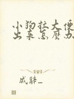 小狗拉大便拉不出来怎么办