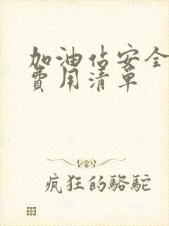 加油站安全生产费用清单