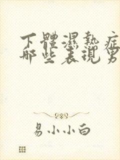 下体湿热症状有哪些表现男