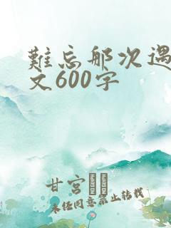 难忘那次遇见作文600字