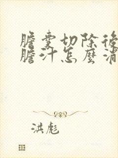 胆囊切除后没有胆汁怎么消化