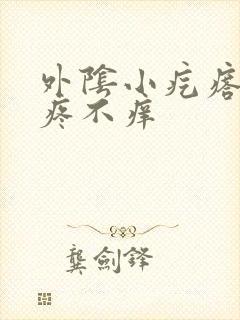 外阴小疙瘩 不疼不痒