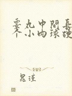 睾丸中间长了一个小肉球硬硬的