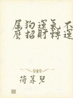 属狗运气不好怎么招财转运