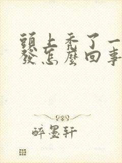 头上秃了一块头发怎么回事