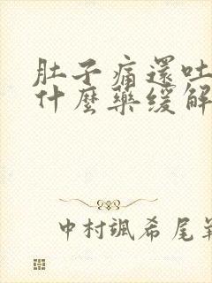 肚子痛还吐了吃什么药缓解