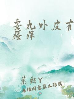 睾丸外皮有红斑瘙痒