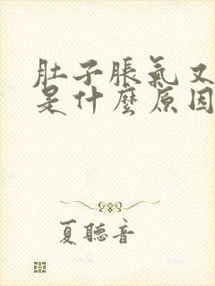 肚子胀气又放屁是什么原因